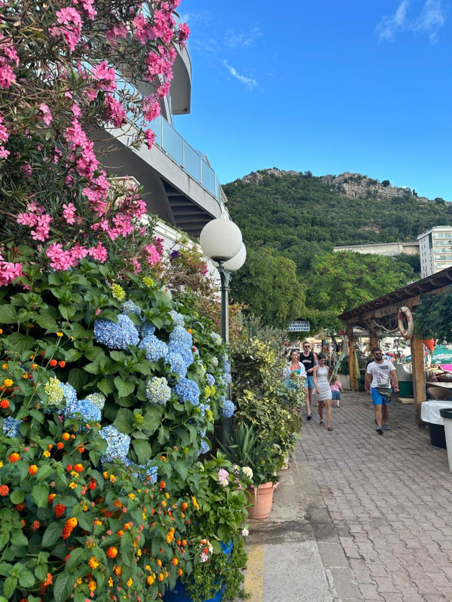 Apartmani Jedro Rafailovići Exteriér fotografie